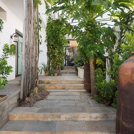 Altanure Almatere - Food Forest Boutique Stay Tavira Buitenkant foto