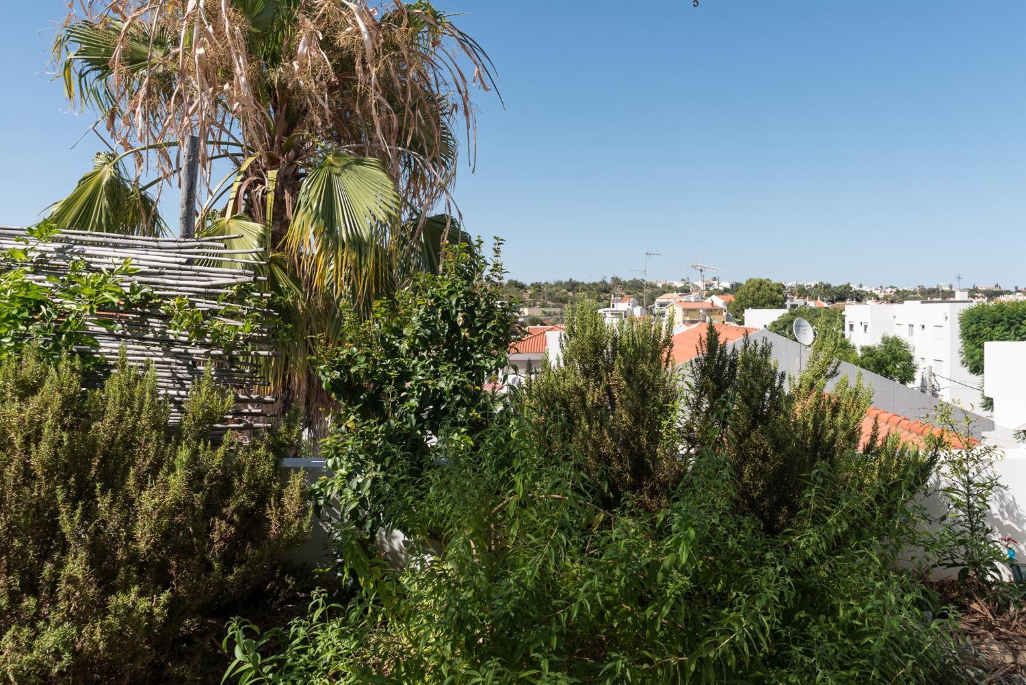 Altanure Almatere - Food Forest Boutique Stay Tavira Buitenkant foto